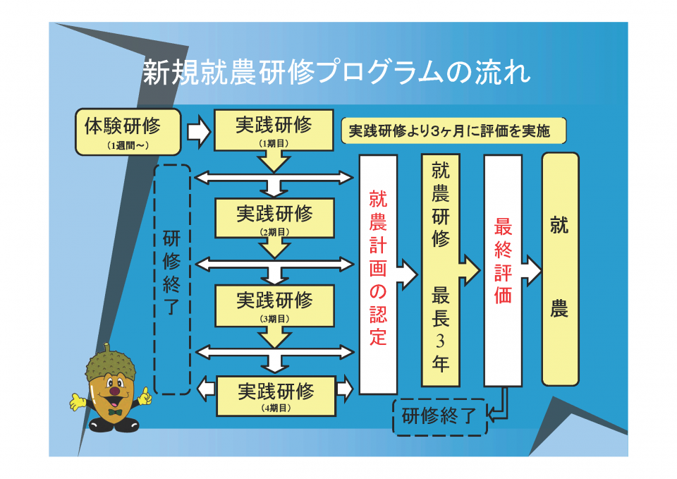 新規就農研修プログラムの流れ