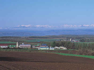 畑と日高山脈